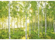 KOMAR - Paper Wall Mural 8-519 - Photo Wallpaper