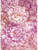 KOMAR - Non-woven Wall Mural XXL2-009 - Photo Wallpaper