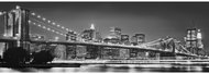 KOMAR - Paper Wall Mural 4-320 - Photo Wallpaper