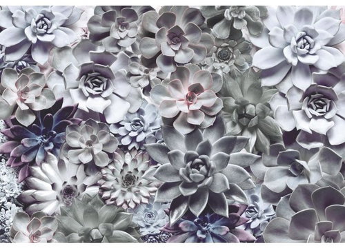 KOMAR - Paper Wall Mural 8-962 - Photo Wallpaper - Main image