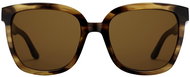 Daniel Wellington Square Sunglasses, Brown - Sunglasses