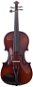 Geige Antoni AVP44 Akustische Violine - Housle
