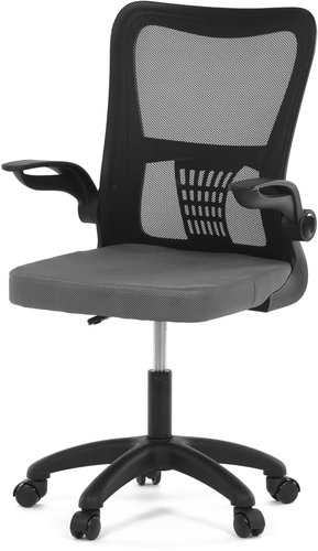 HOMEPRO Riku šedá - Children’s Desk Chair - Main image