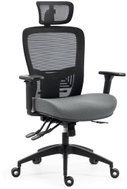 HOMEPRO Axon šedá - Office Chair