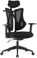 HOMEPRO Nexis černá - Office Chair