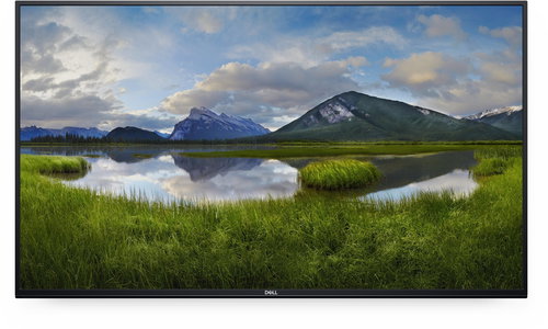 54,6" DELL P5524Q Hauptbild 54,6" DELL P5524Q - Großformat-Display - Hauptbild