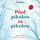 MP3 Audiobook