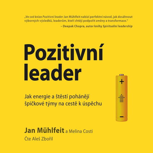Pozitivní leader - Audiokniha MP3 - Hlavní obrázek