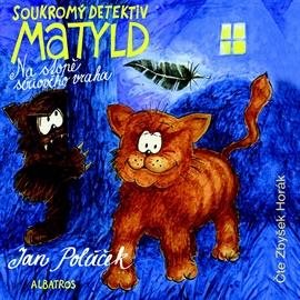 Private Investigator Matyld - On the trail of a serial killer - MP3 Audiobook - Main image
