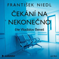 Čekání na nekonečno - Audiokniha MP3