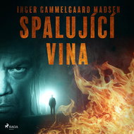 Spalující vina - Audiokniha MP3