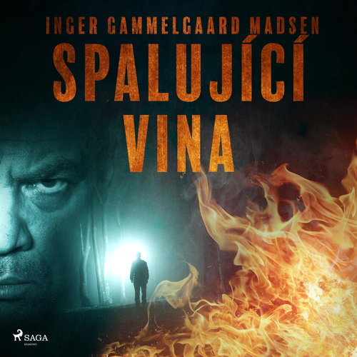 Spalující vina - Audiokniha MP3 - Main image