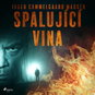 Audiokniha MP3 Spalující vina - Audiokniha MP3
