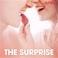 The Surprise - Audiokniha MP3