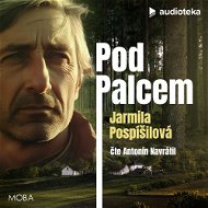 Pod Palcem - Audiokniha MP3