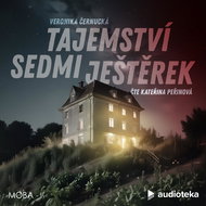 Audiokniha MP3 Tajemství sedmi ještěrek - Audiokniha MP3