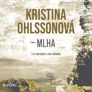 Audiokniha MP3 Mlha - Audiokniha MP3