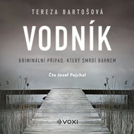 Vodník - Audiokniha MP3