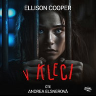 V kleci - Audiokniha MP3