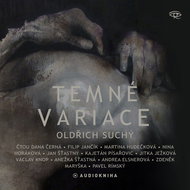 Dark Variations - MP3 Audiobook