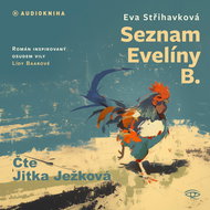 Seznam Evelíny B. - Audiokniha MP3