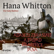 Adam ze Zbraslavi a případ kralevice Jana - MP3 Audiobook