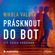 Prásknout do bot - MP3 Audiobook