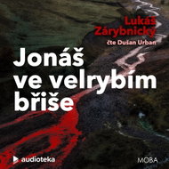 Jonáš ve velrybím břiše - MP3 Audiobook