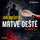 MP3 Audiobook
