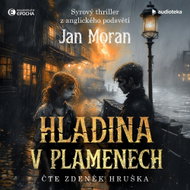 Hladina v plamenech - MP3 Audiobook