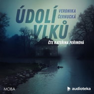 Údolí vlků - MP3 Audiobook