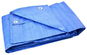 GEKO Plachta PP/PE nepromokavá 75 g/m2, modrá, 6 × 10 m - Krycí plachta