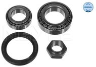 MEYLE Wheel bearing 100 498 0040 - Bearing
