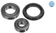 MEYLE Wheel bearing 714 500 0003 - Bearing