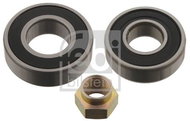 FEBI BILSTEIN Wheel bearing 29905 - Bearing