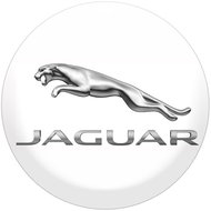 Panacea Jaguar resin wheel centre stickers - 4pcs - Wheel Center Cap Stickers