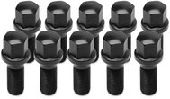 TPI Wheel Bolts (10 pcs), spherical seat R13, 17mm hex, M14 × 1.5, 40mm, black colour - Wheel Bolts