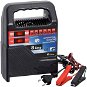 Compass Charger  8A 6V/12V - Car Battery Charger
