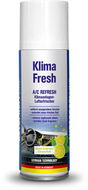 Čistič klimatizace Autoprofi Čistič klimatizace citron 100ml - Čistič klimatizace
