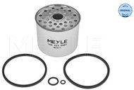 MEYLE 1003230007 for AUDI; CITROËN; FIAT; FORD; LADA; LAND ROVER; PEUGEOT; RENAULT; SEAT; SUZUKI; VO - Fuel Filter
