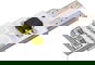 COMPASS 4 SMD LED 12V T10 bílá - LED autožárovka