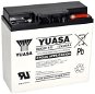 Yuasa REC22-12I, 22Ah, 12V - Traction Battery