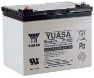 Yuasa REC36-12, 36Ah, 12V - Traction Battery