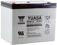 Yuasa REC80-12I, 80Ah, 12V - Traction Battery