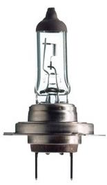 Narva H7 PX26d 12V 55W