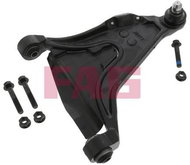 FAG Axle arm 821 0449 10 - Suspension Arm