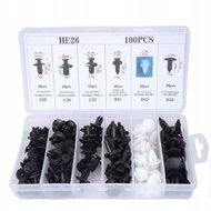 Rosfix Set of car pins 100 pcs in plastic box - Service Set