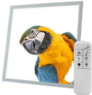 Ortus Stmívatelný LED panel s motivem papoušek, 60 × 60 cm, CCT, s dálkovým ovládáním - LED Panel