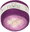 290 purple