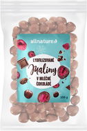 Allnature Mrazem sušené maliny v mléčné čokoládě 100 g - Lyofilizované ovoce